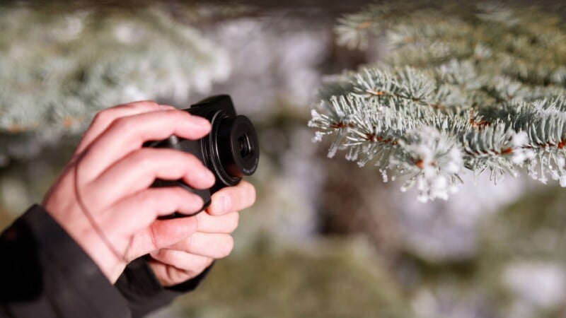 A person holding a camera takes a close-up photo of a frosty evergreen tree branch, with delicate ice crystals visible on the needles.