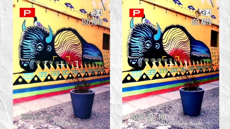 Side-by-side photos of a colorful wall mural depicting a stylized bison, with camera settings overlaid. Both images show a large potted plant in front of the mural and geometric designs along the wall’s base.