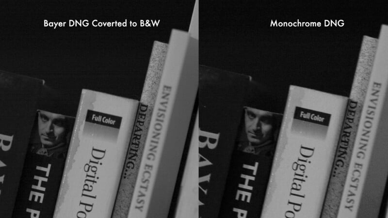  "Monochrome DNG." The books and text appear similar but slightly different in contrast.