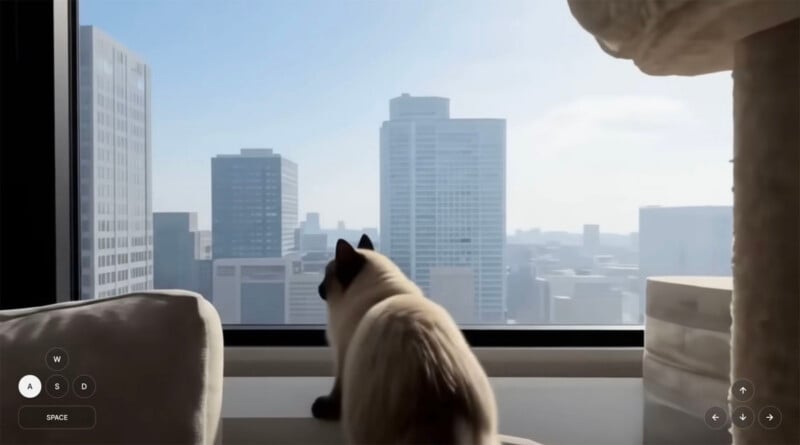 Un gato siamés se sienta en el alféizar de la ventana, mirando el horizonte de la ciudad bordeado de altos edificios bajo el cielo azul. Se pueden ver muebles para gatos cerca de la habitación.