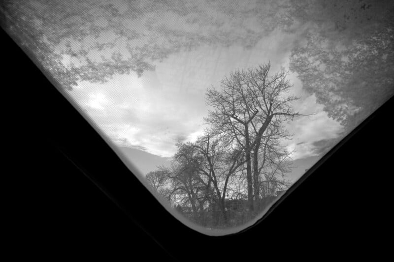 A view of leafless trees and a cloudy sky seen through the triangular mesh window of a tent, with the dark tent fabric framing the scene in black and white.