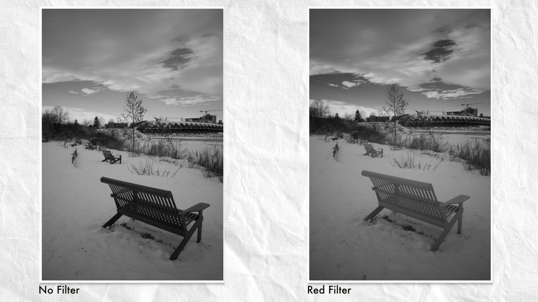 Ricoh GR IV Monochrome Review: Black and White Comes at a Premium ...