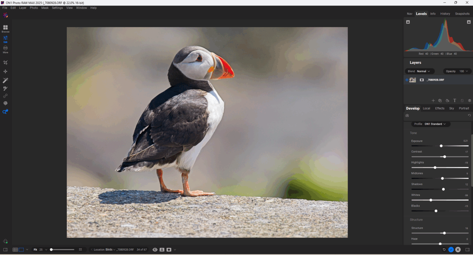 Discovering a Digital Photo Editing Workflow Beyond Adobe | PetaPixel