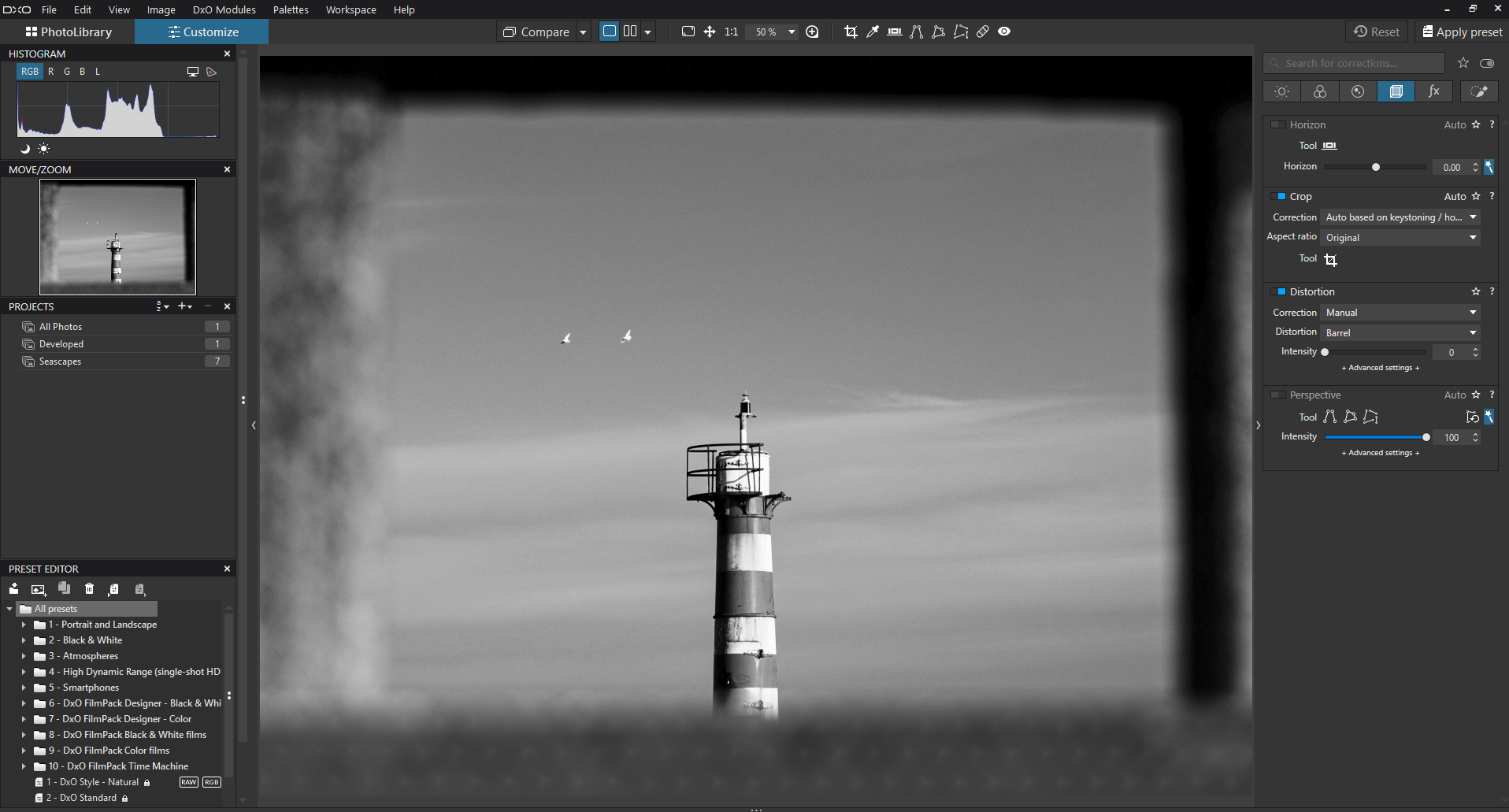 A black and white photo editing software interface shows a lighthouse centered in the frame, with two birds flying nearby and a blurred border around the image. Various editing tools and panels are visible on the screen.