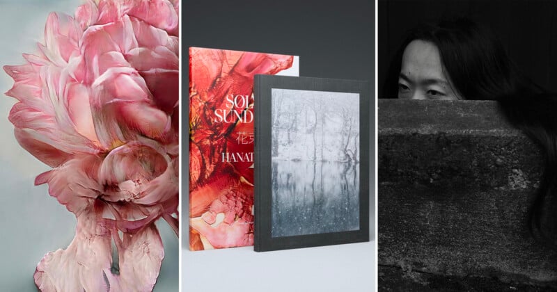 A split image: left shows a close-up of a pink flower painting, center displays two art books standing upright, and right features a person peeking over a concrete wall in a black-and-white photo.
