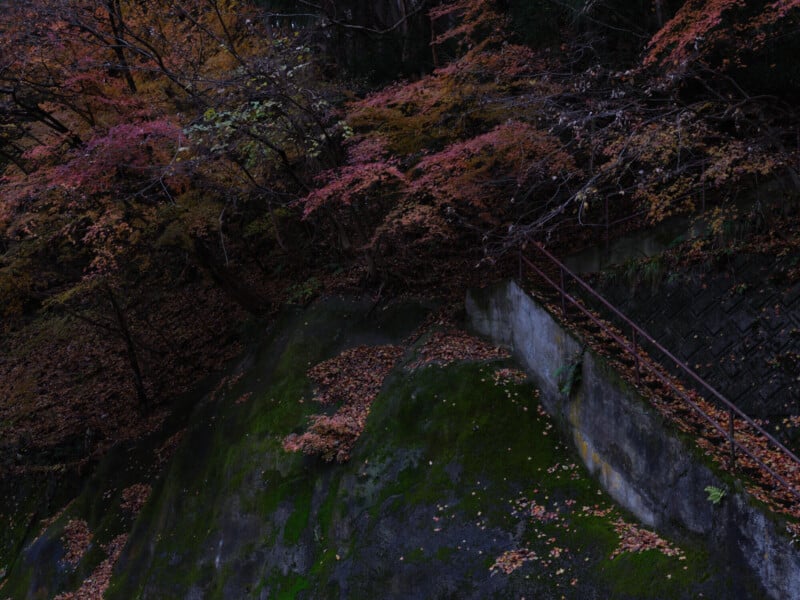 A moss-covered stone slope beside a concrete wall and railing, surrounded by trees with autumn leaves in shades of red, orange, and yellow. Fallen leaves are scattered across the ground. The scene is dimly lit.