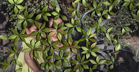 Two children partially hidden behind dense green leaves, with only parts of their faces and clothing visible. The background appears to be an outdoor, leafy environment.