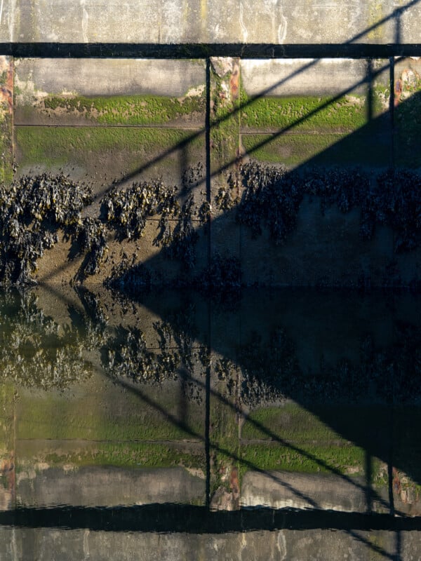 A concrete wall with green moss growing along the waterline, partially covered in shadow from a metal railing above, reflected clearly in the still water below.