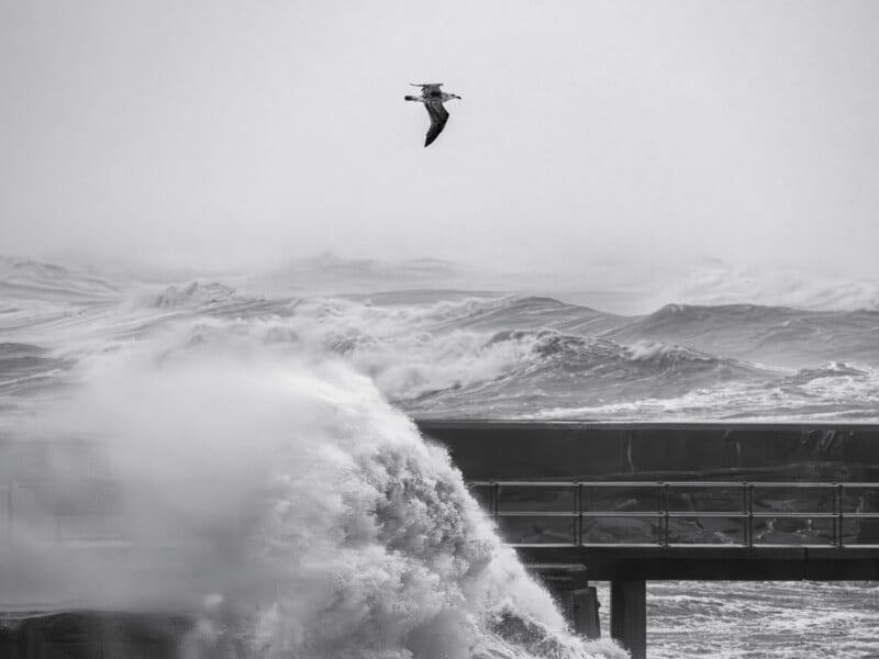 A black-and-white photo of a large wave crashing against a pier, creating a spray of water, while a single seabird flies above the turbulent ocean in the background.