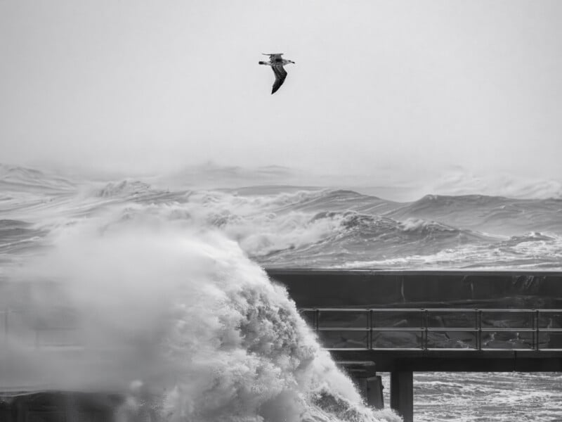 A black-and-white photo of a seagull flying above crashing ocean waves, with mist and spray rising high near a pier or railing in the foreground. The scene is dramatic, with turbulent water and overcast skies.