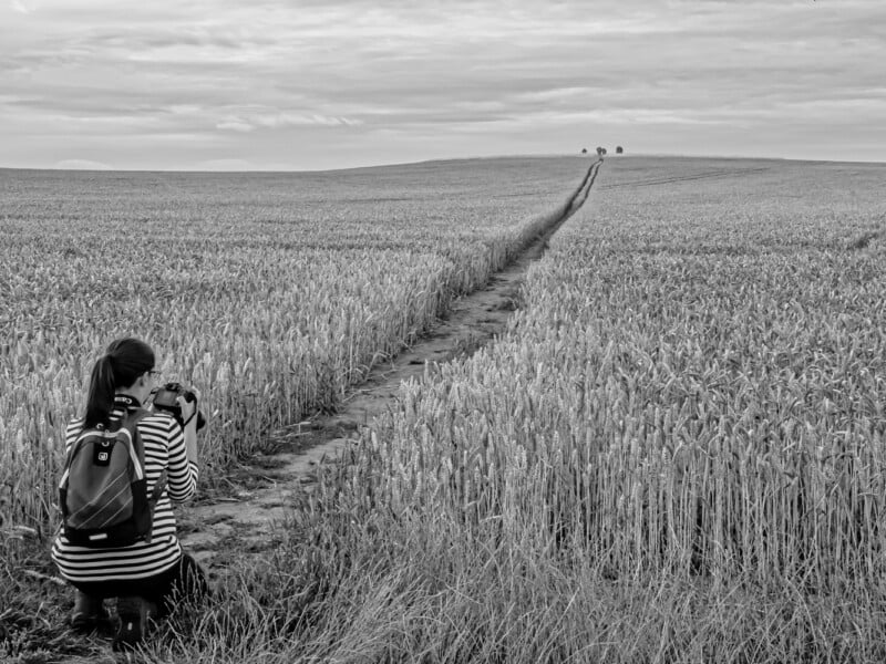 A person with a striped shirt and backpack kneels in a wheat field, photographing a narrow path leading to distant trees under a cloudy sky. The scene is in black and white.