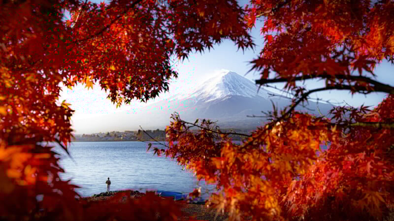 El monte Fuji cubierto de nieve junto al lago está rodeado de brillantes hojas otoñales de color rojo y naranja. Una persona se encuentra en la orilla y disfruta del hermoso paisaje bajo el cielo despejado.