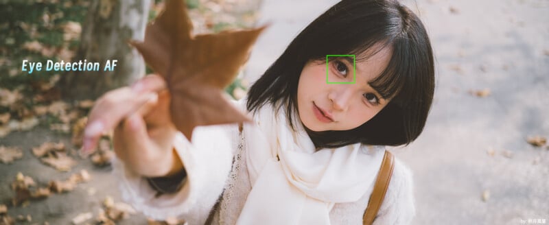 A woman wearing a white scarf gazes at a brown leaf she holds up, with autumn leaves scattered on the ground. A green rectangle highlights her eye, and text reads "Eye Detection AF.