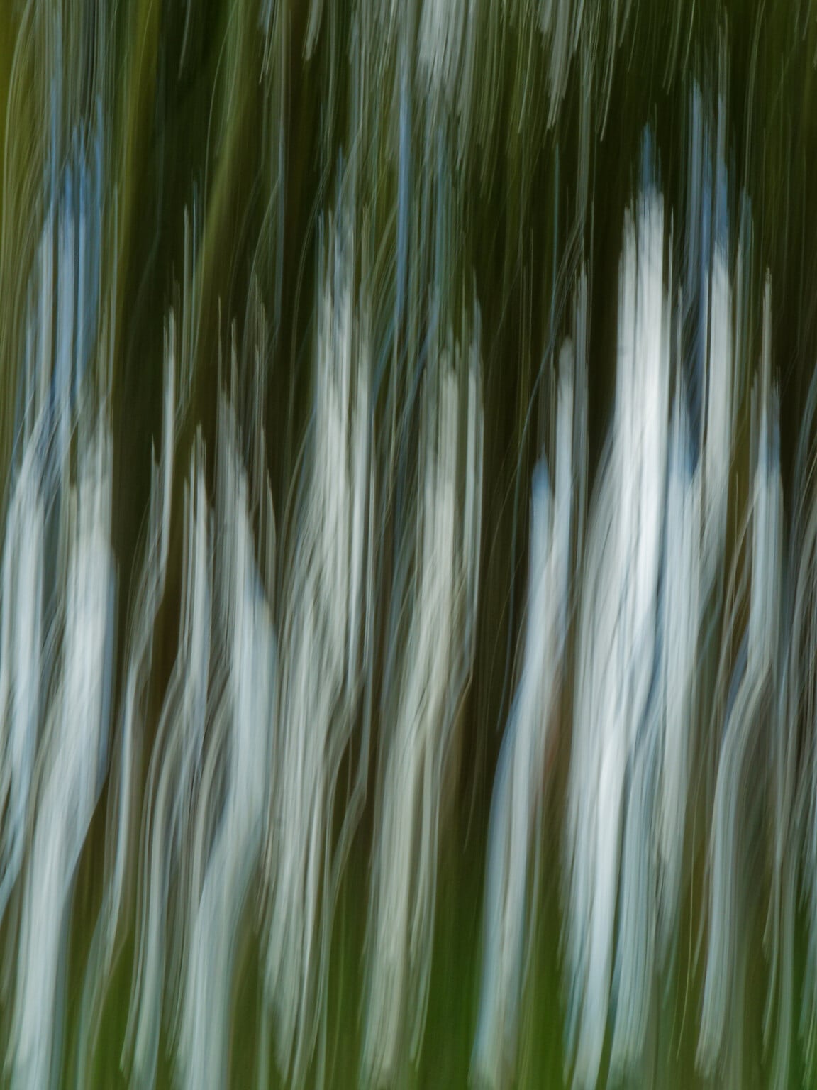 Why You Should Embrace Abstract Photography | PetaPixel
