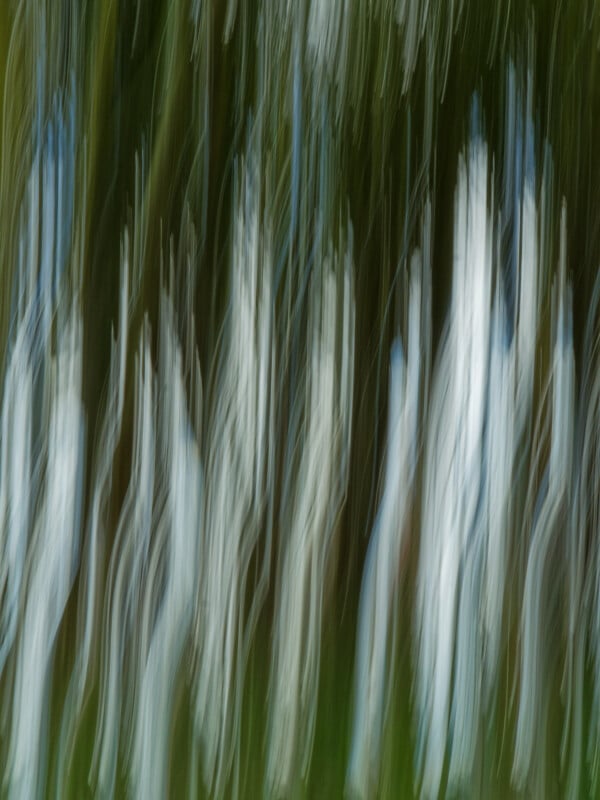 Abstract image with vertical streaks of white and blue on a green background, creating a blurred, painterly effect reminiscent of moving light or ghostly shapes.
