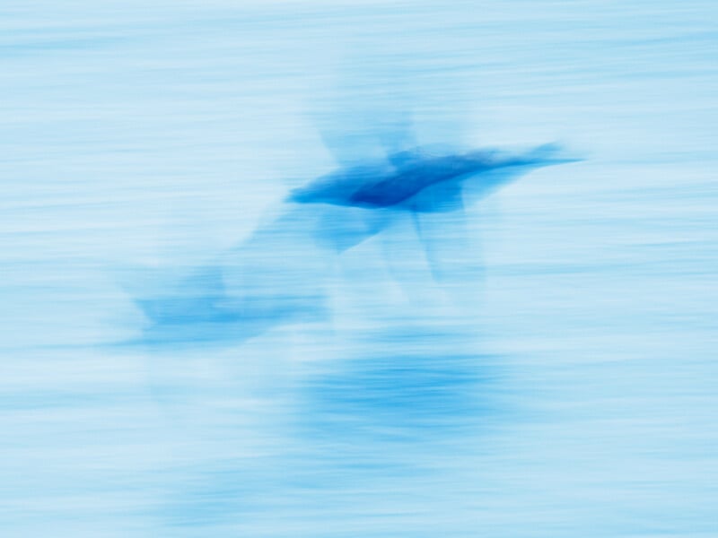 Blurred blue image of dolphins swimming, creating an abstract, motion-filled effect against a light blue, watery background. The movement gives the subjects a soft, ghostly appearance.