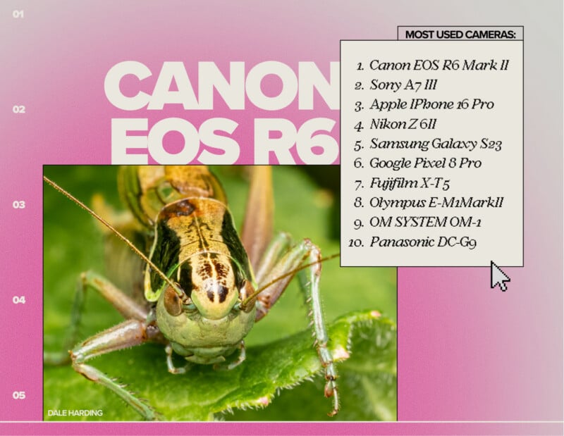 Close-up of a grasshopper on a leaf, with a list of the top 10 most used cameras on the right, headed by "Canon EOS R6 Mark II" and followed by various camera and smartphone models.