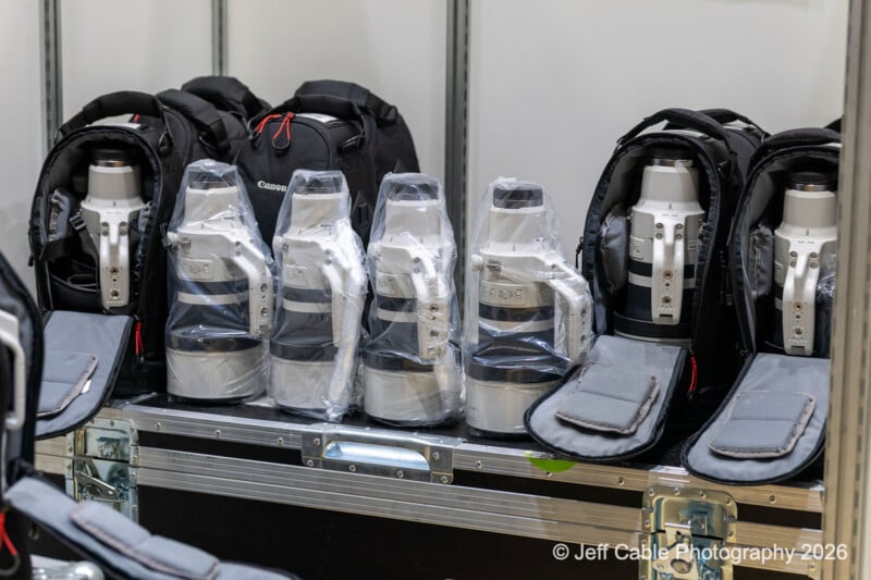Several large white Canon telephoto camera lenses, each wrapped in plastic, are lined up on a metal case. Black camera bags are placed behind the lenses. The setup appears organized and ready for use.
