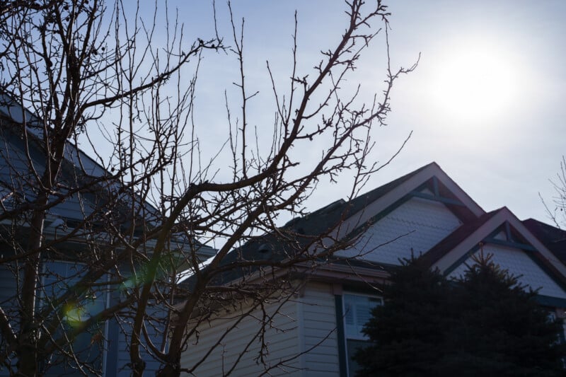 Bare tree branches in front of suburban houses with steep roofs, silhouetted against a bright, sunny sky. Sunlight creates a lens flare near the roof, and a conifer tree is visible on the right.