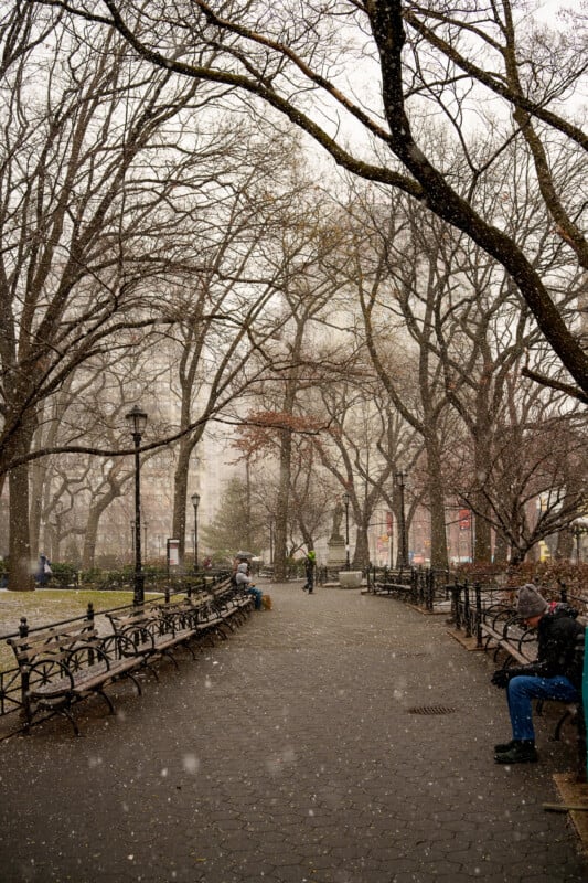 A person sits on a bench along a tree-lined park path during light snowfall. Leafless trees arch overhead, and a few people walk in the distance. The scene appears cold and quiet, with muted city buildings in the background.