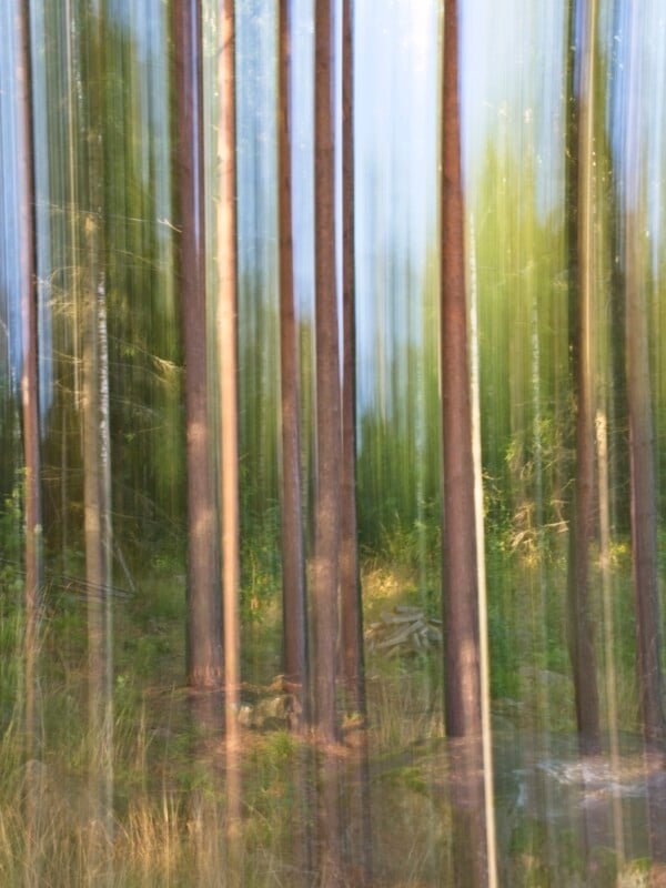 A blurred image of tall, thin tree trunks in a sunlit forest, with vertical streaks of green, brown, and blue, creating an abstract, painterly effect.
