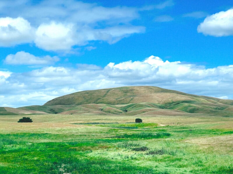 Bajo el cielo azul y las nubes blancas, hay hierba verde y montañas onduladas. En campo abierto se pueden ver dos pequeños arbustos.