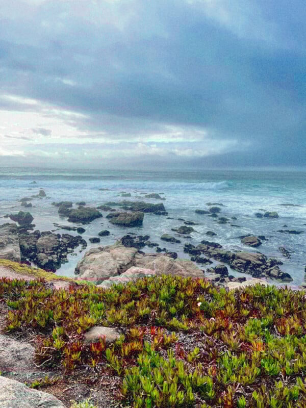 Vista de una costa rocosa con olas rompiendo contra las rocas, plantas costeras verdes y rojas en primer plano y cielo nublado sobre el océano al fondo.