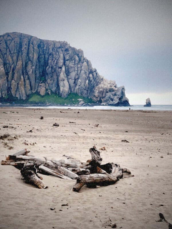 Bajo un cielo nublado, en la playa se alza una gran formación rocosa, cubierta de madera flotante y pequeños escombros.