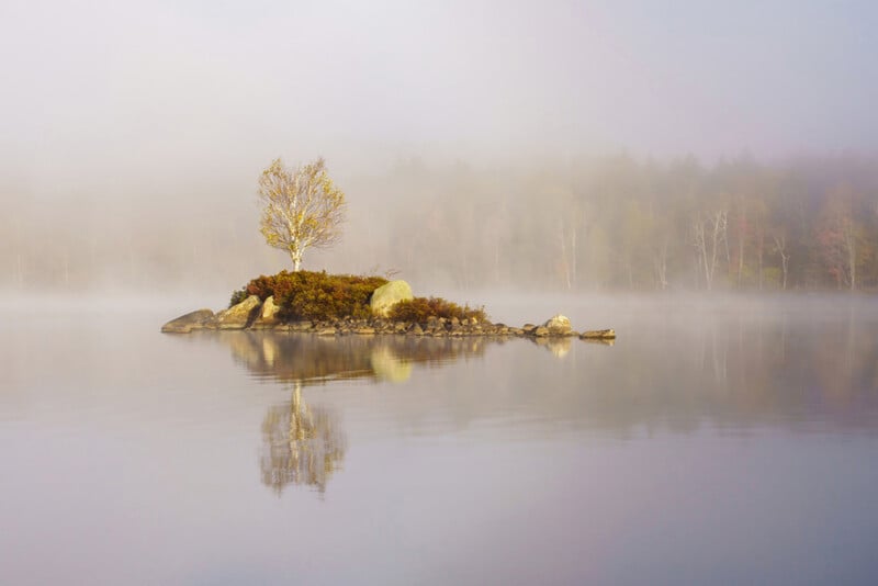 A small, rocky island with a single tree and some shrubs is surrounded by calm water, reflecting the island. Mist and fog blur the distant forest in the background, creating a serene, tranquil scene.