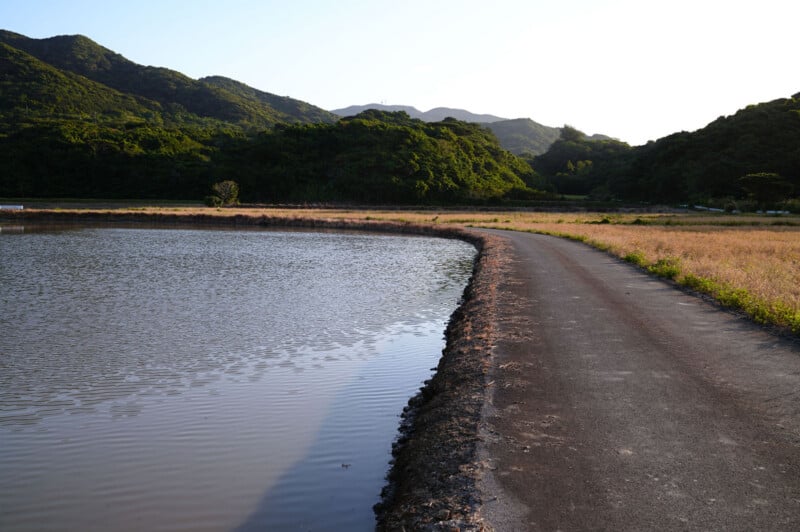 A narrow paved path curves alongside a calm body of water, bordered by grassy fields and dense green hills under a clear sky with soft sunlight.