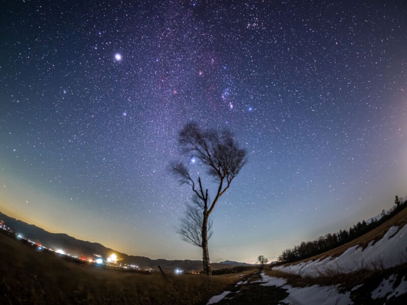 A leafless tree stands in a snowy field under a clear night sky filled with stars and the Milky Way. Distant lights from houses or buildings are visible near the horizon.