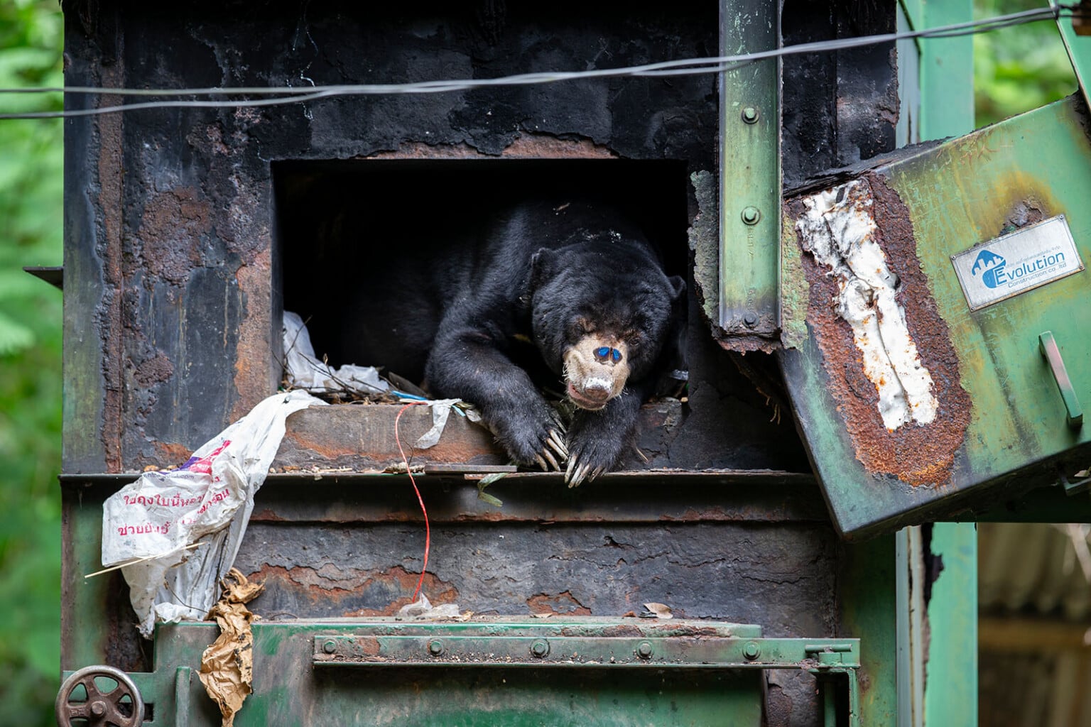 The Final 24 Images of Wildlife Photographer of the Year 2025 | PetaPixel