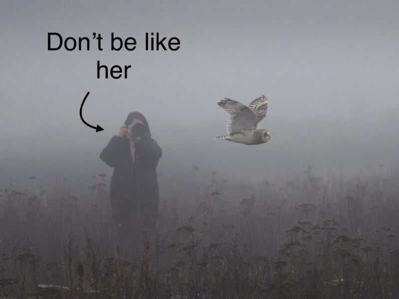Un hombre con una chaqueta con capucha se encuentra en un campo brumoso fotografiando un búho en vuelo. lectura de texto "no seas como ella" Hay una flecha que apunta a la persona.