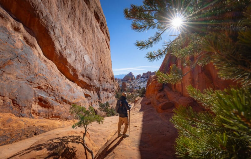 A hiker walks along a sandy trail between tall red rock cliffs and green bushes under a bright sun, casting long shadows in a desert landscape.