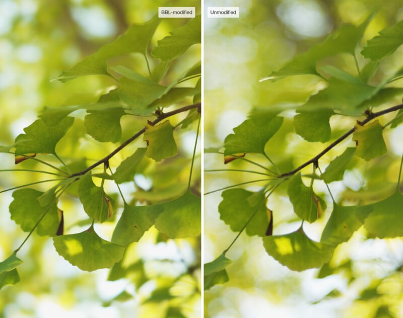 Side-by-side comparison of green leaves on branches; the left side is labeled "BBL-modified" and looks lightly altered in color, while the right side is labeled "Unmodified" with more natural green tones and lighting.