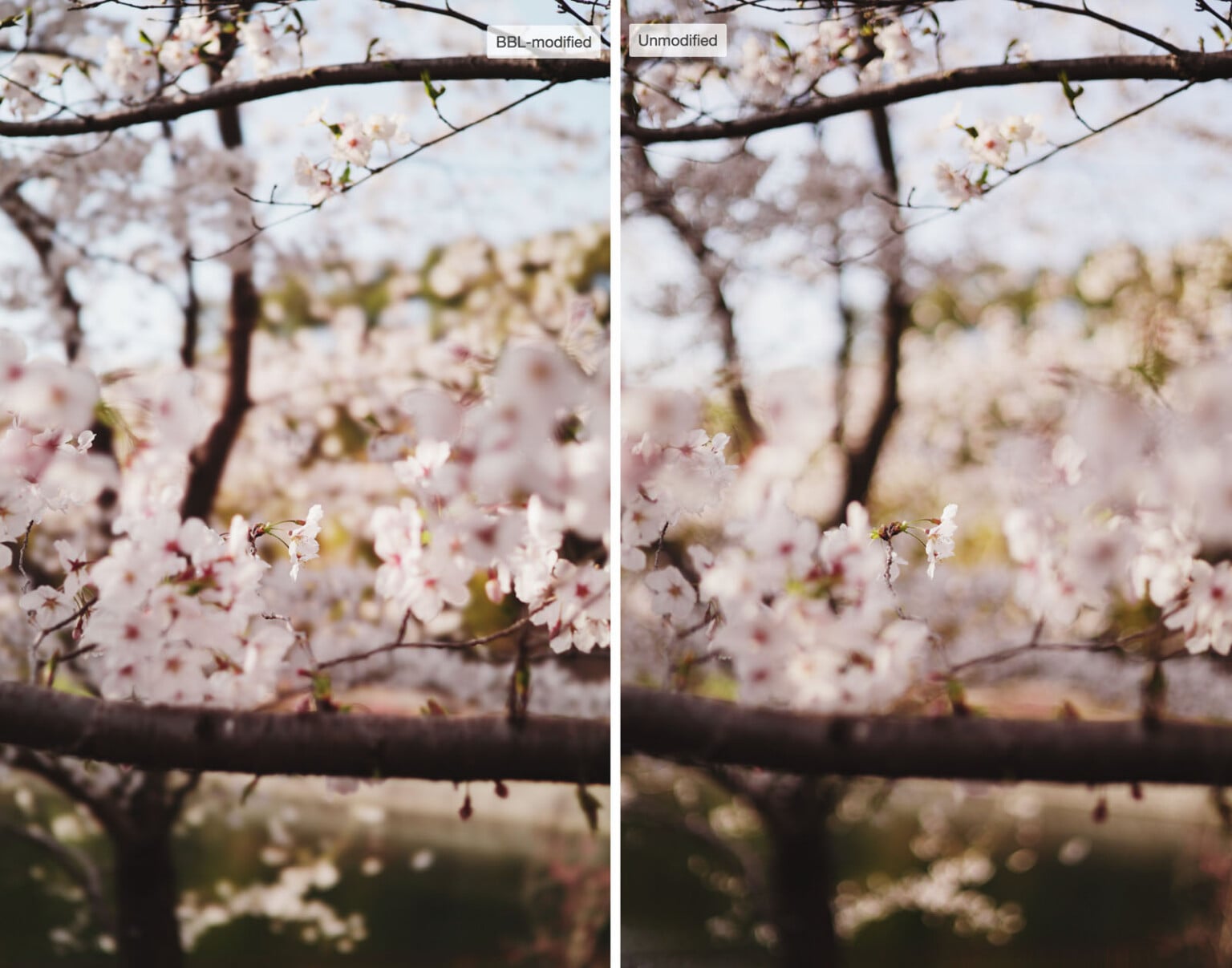 Japanese Company Modifies Lenses by Hand to Make Bokeh More Beautiful ...