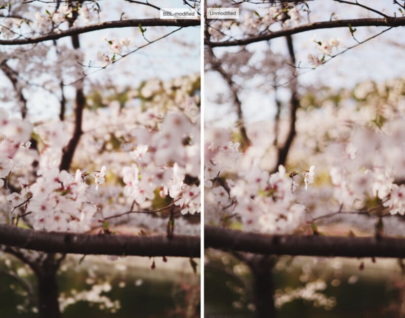  the left image is labeled "BBL-modified" and appears brighter with higher contrast; the right image is labeled "Unmodified" and looks softer with more muted colors.