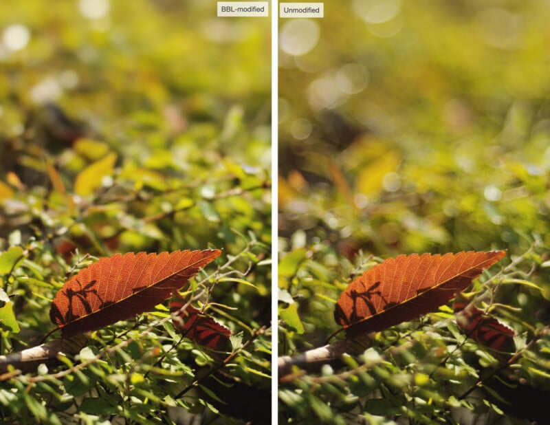 Side-by-side close-up photos of an orange leaf on green foliage; the left image ("BBL-modified") is sharp and vibrant, while the right ("Unmodified") is softer and more blurred.