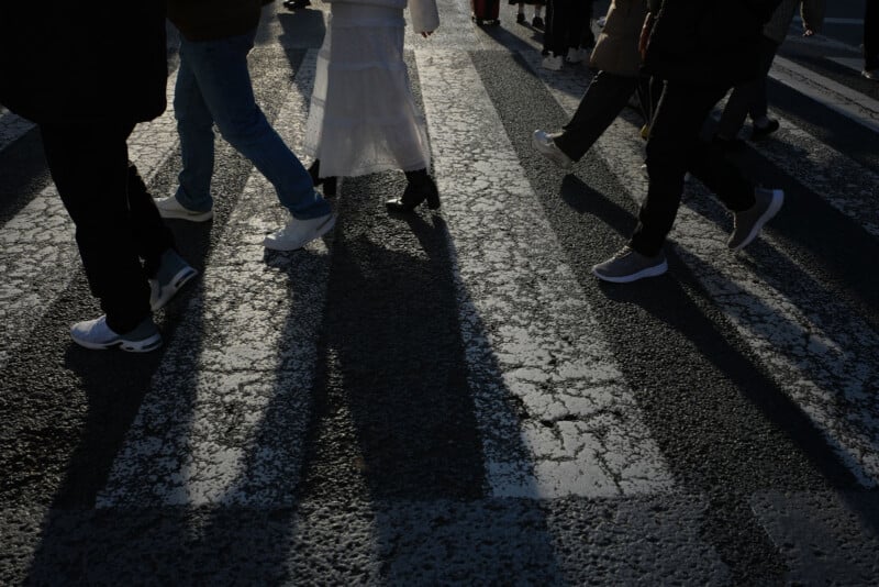People walk across a crosswalk, casting long shadows on the pavement in angled sunlight. The photo is taken from a low angle, focusing on their legs and feet.