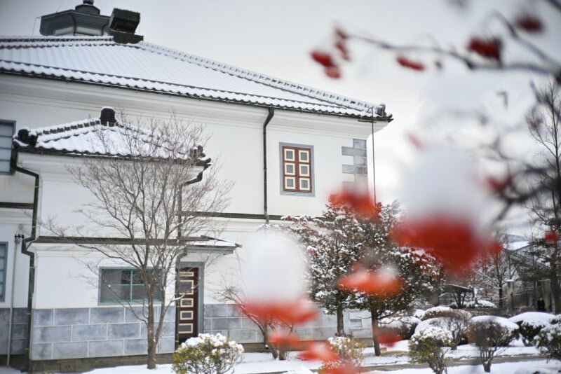 El tradicional edificio con techo de tejas blancas está rodeado de árboles y arbustos cubiertos de nieve; Los frutos rojos en primer plano añaden un toque de color a la escena invernal.