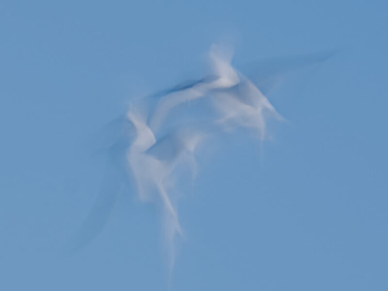 A blurred image of birds in flight against a clear blue sky, creating a soft, abstract effect with indistinct shapes and gentle motion lines.