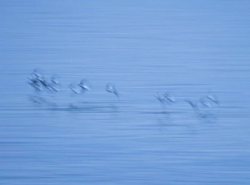 A blurred image of several birds flying low over a calm, blue water surface, creating a sense of motion and tranquility.