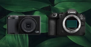 Two black digital cameras, one compact and one larger DSLR, are displayed side by side against a background of large green leaves. The compact camera is on the left, and the larger camera with no lens is on the right.