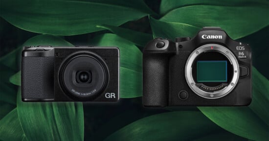 Two black digital cameras, one compact and one larger DSLR, are displayed side by side against a background of large green leaves. The compact camera is on the left, and the larger camera with no lens is on the right.