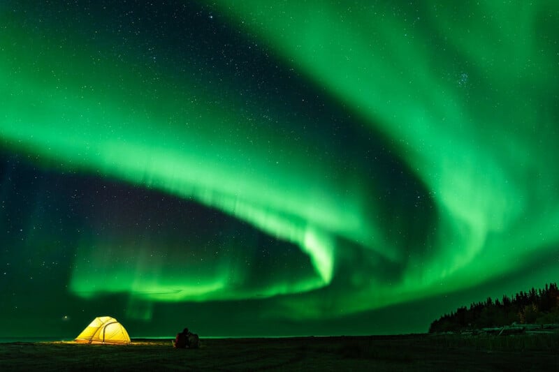 Una carpa amarilla brillante se encuentra en un cielo nocturno lleno de la vibrante aurora boreal verde, estrellas visibles y una línea de árboles oscuros en la distancia.