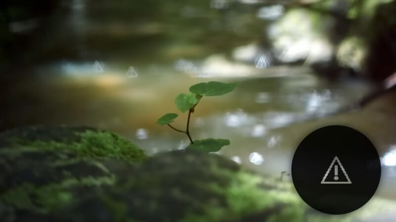 Una pequeña planta verde crece sobre una roca cubierta de musgo junto a un vago arroyo. Débiles iconos de advertencia triangulares se encuentran dispersos por toda la imagen, con un símbolo de advertencia más grande en un círculo negro en la esquina inferior derecha.