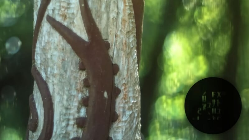 Primer plano del tronco de un árbol con diseños tallados y pintados, incluidas formas oscuras curvas con bordes con muescas. El fondo es verde y borroso. Aparece un objeto circular oscuro con texto verde en la esquina inferior derecha.