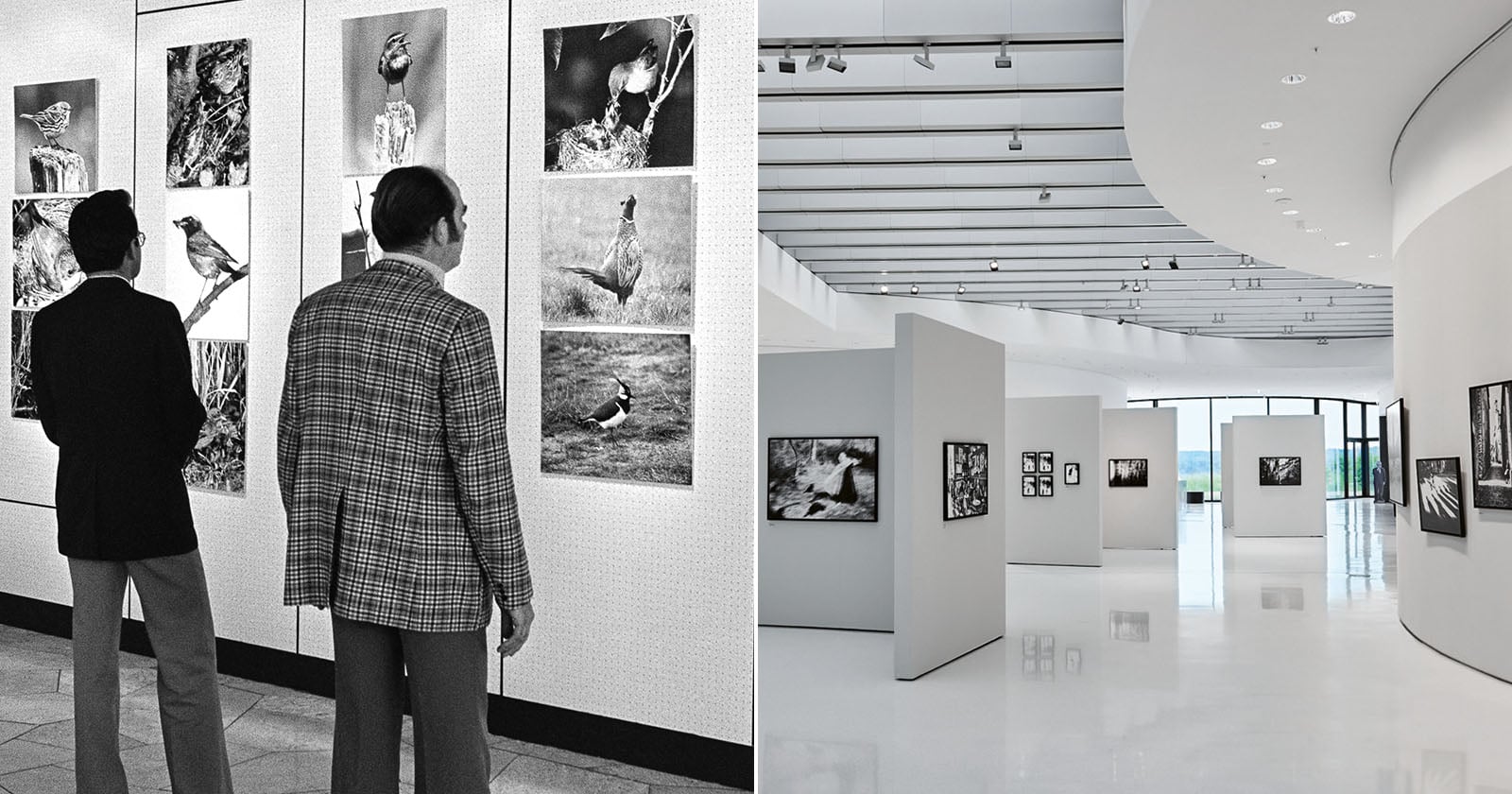 Leica Galleries Celebrate 50 Years of Promoting Photographic Art