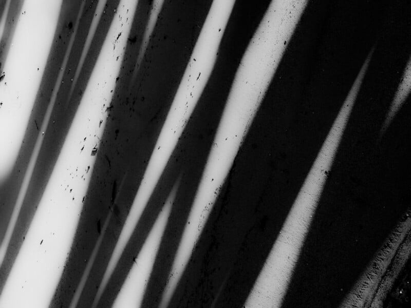 Diagonal, elongated shadows cast across a textured, light-colored surface, creating a pattern of alternating dark and bright areas in black-and-white.