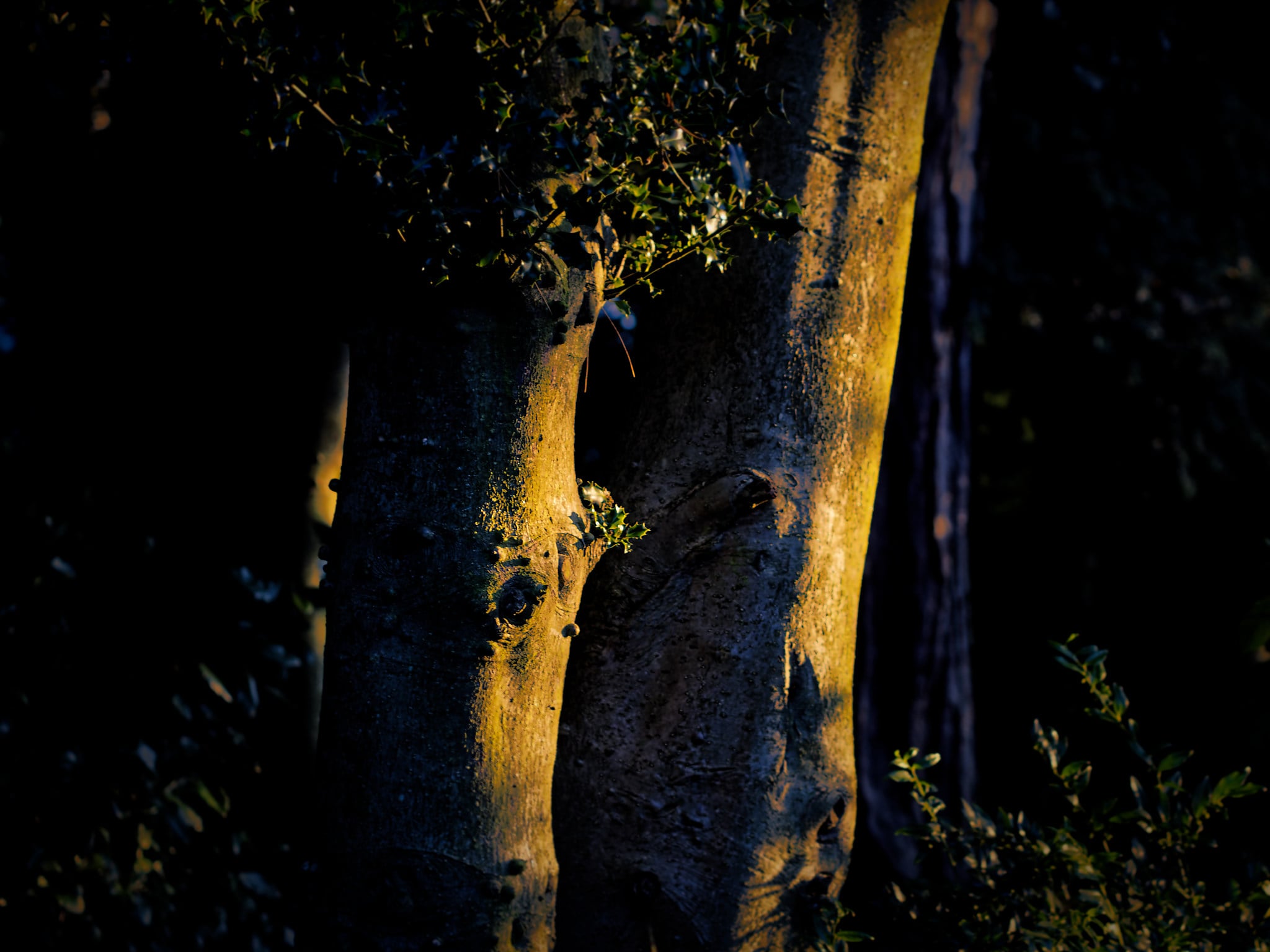 Light and Photography: How Light Interacts With Your Subject | PetaPixel